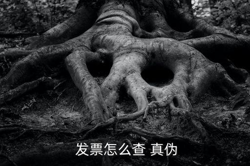 發票查驗如何查驗真偽,如何查驗發票真偽?...